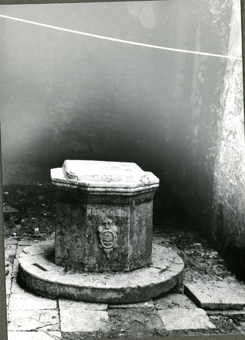 Image description